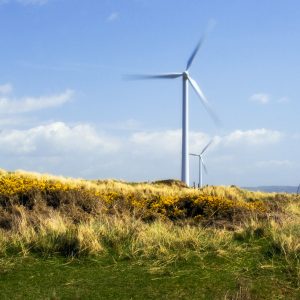 Cape Bridgewater Wind Farm