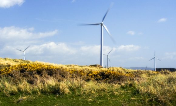 Cape Bridgewater Wind Farm